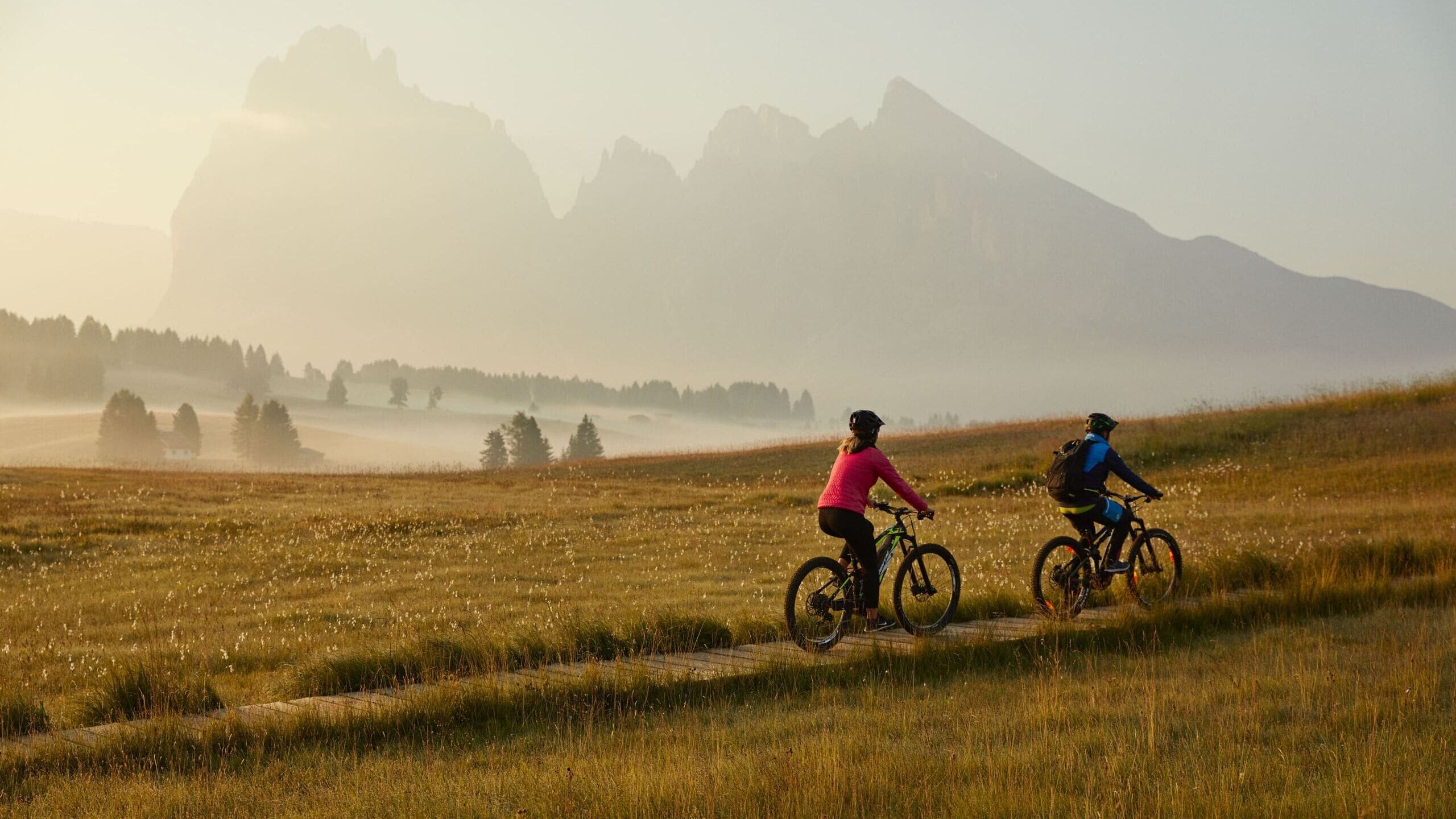 Mountain bike tour on the Alpe di Siusi with the Sasso Lungo group in the background