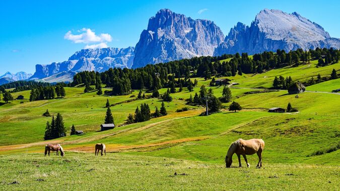 Free horses grazing in the picturesque meadows of Funes Valley, Dolomites