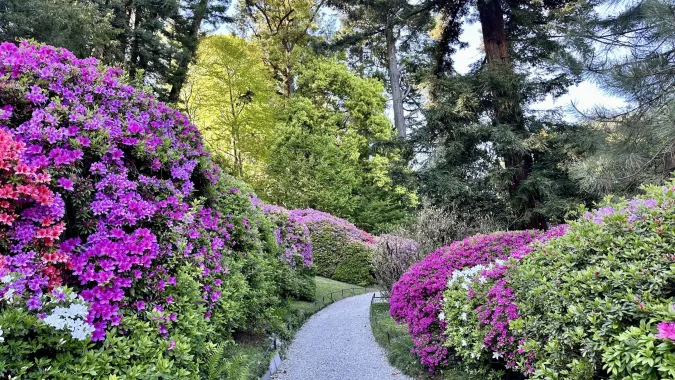 The beautiful gardens of Villa Carlotta Tremezzine Como Lake