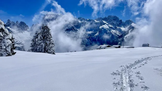 Unique ski touring experience in Madonna di Campiglio