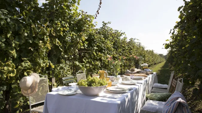 Lunch among prosecco vineyards pievedisoligo italy