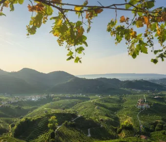 Prosecco Hills in the Valdobbiadene area