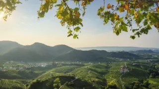 Prosecco Hills in the Valdobbiadene area