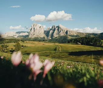 Panoramic view from Seceda over Alpe di Siusi and Val Gardena in the Dolomites, Italy