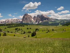 Summer view on the Alpe di Siusi Groden Dolomites