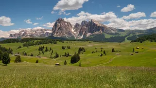 Summer view on the Alpe di Siusi Groden Dolomites