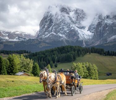 Carriage ride on the Alpe di Siusi with the snow-capped peaks of the Dolomites in the background