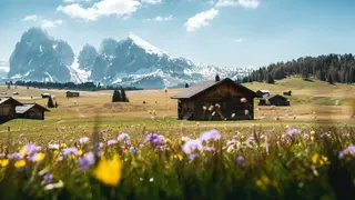 Meadows and alpine pastures on the Alpe di Siusi in Val Gardena