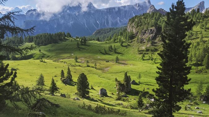 Meadows near Croda da Lago in the Dolomites