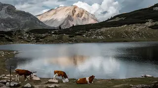 Lé de Limo - parco naturale Fanes-Sennes-Braies