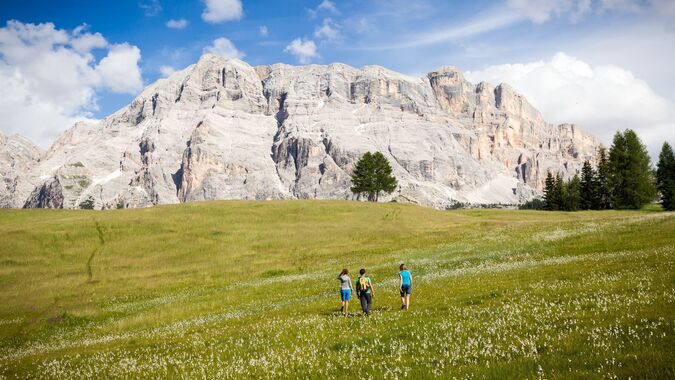 Blooming meadows of Armentarola with Sasso Croce