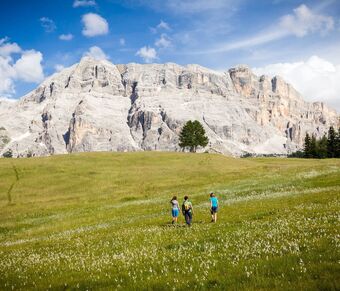 Sass dla Crusc in Alta Badia, Dolomites