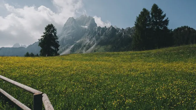 Prati in fiore in Val Pusteria